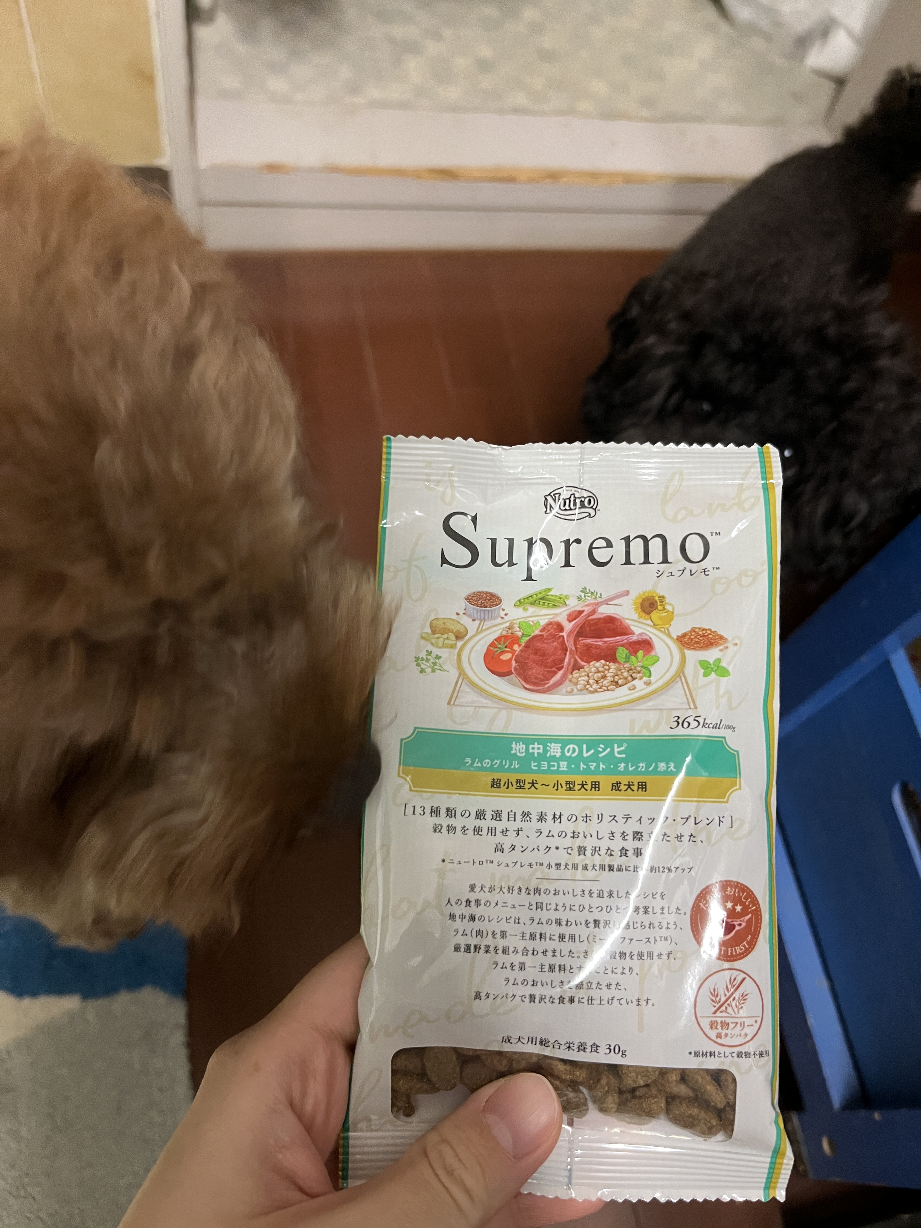 【犬の食事】ペット栄養管理士によるドッグフード考察～シュプレモ地中海レシピ編～